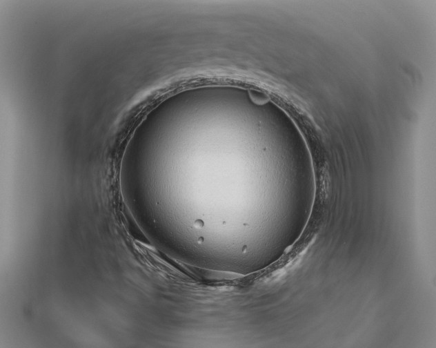 X0000113001494200909031242