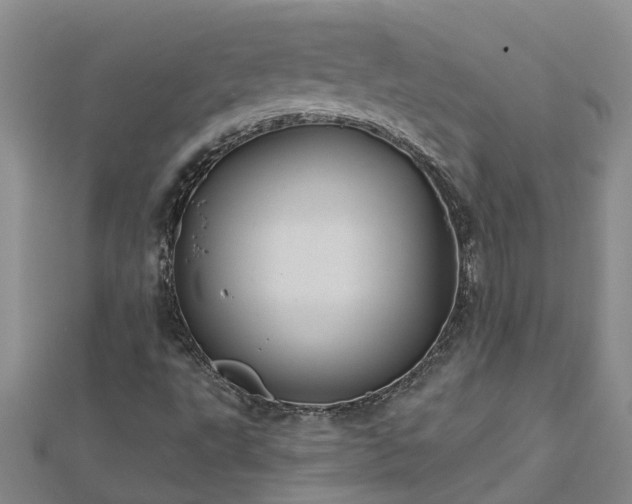 X0000113001495200909031242