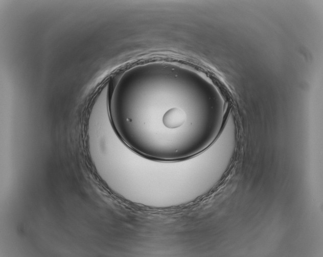 X0000113001496200909031242