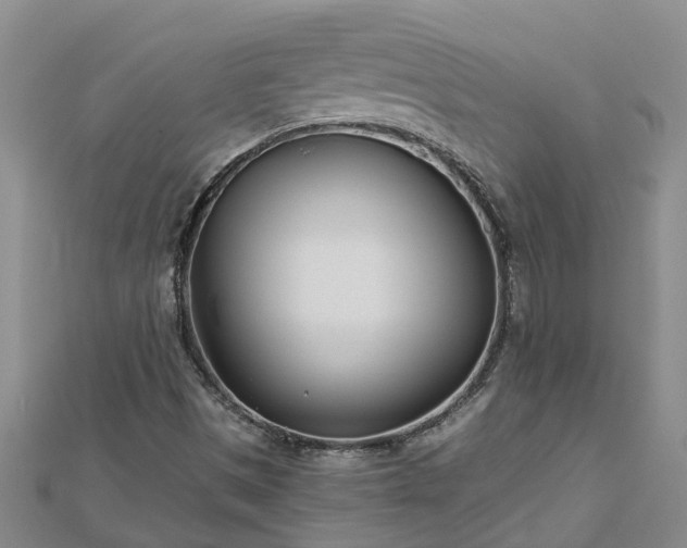 X0000113001497200909031242