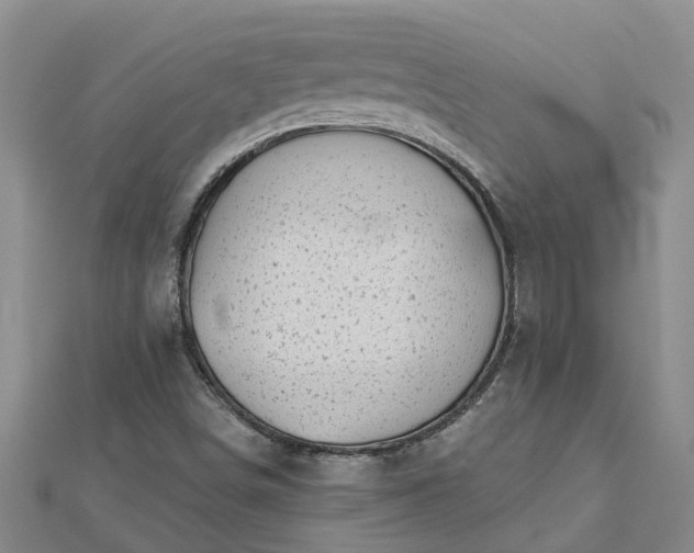 X0000113001498200909031242