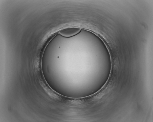 X0000113001499200909031242