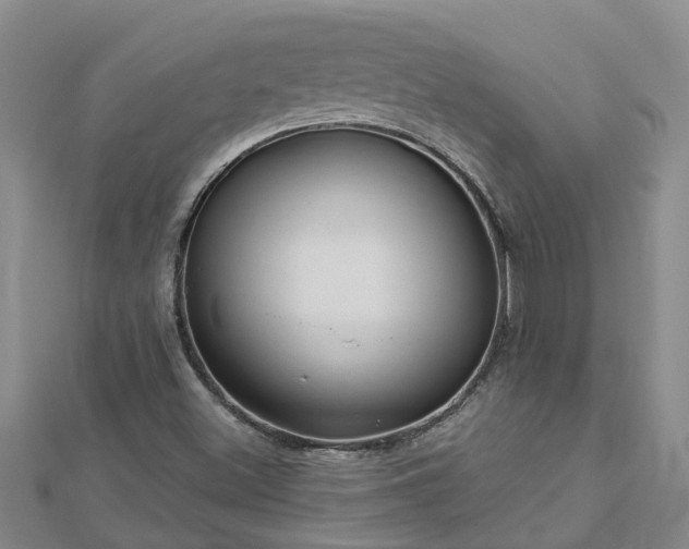 X0000113001500200909031242