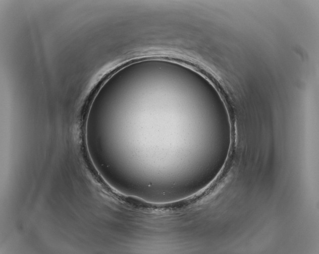 X0000113001501200909031242