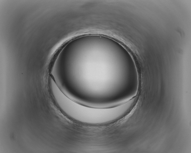 X0000113001502200909031242