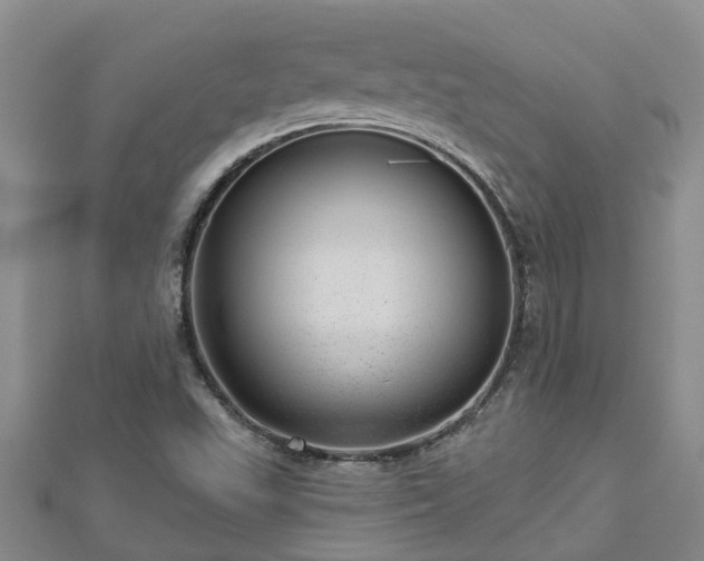 X0000113001503200909031242