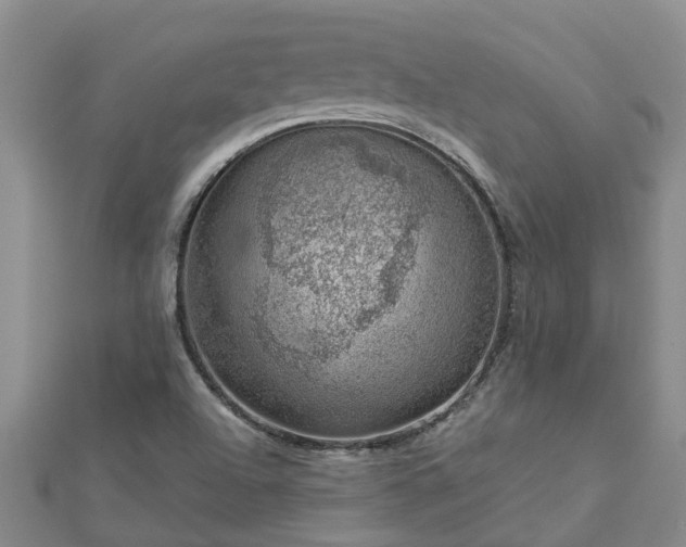 X0000113001504200909031242