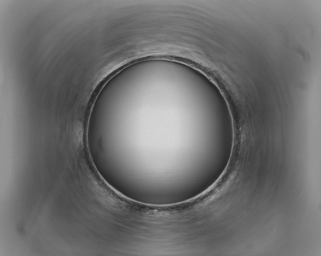 X0000113001505200909031242