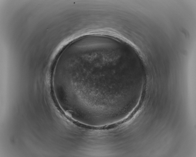 X0000113001506200909031242