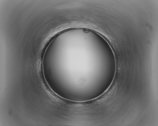 X0000113001507200909031242