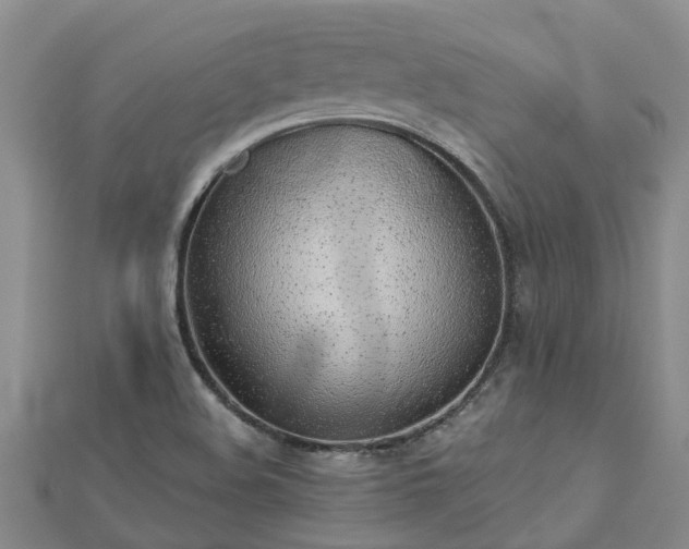 X0000113001508200909031242