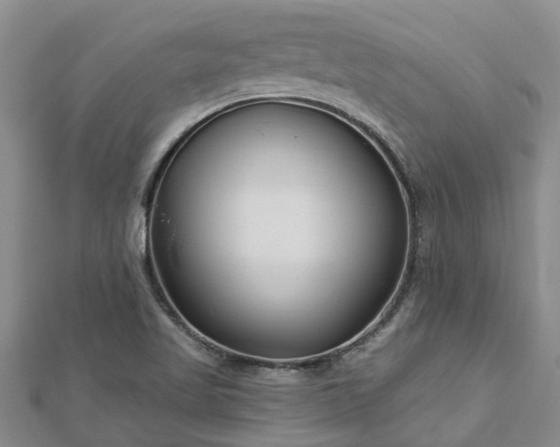 X0000113001509200909031242