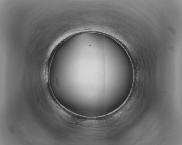 X0000113001510200909031242