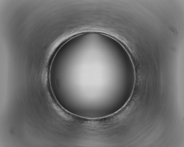 X0000113001511200909031242