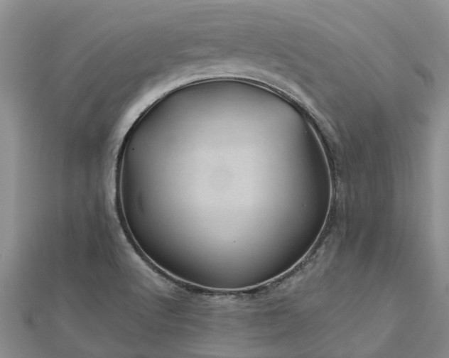 X0000113001512200909031242