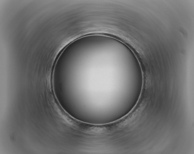 X0000113001513200909031242