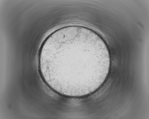 X0000113001514200909031242