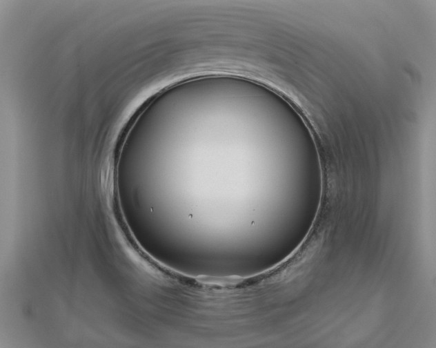 X0000113001515200909031242