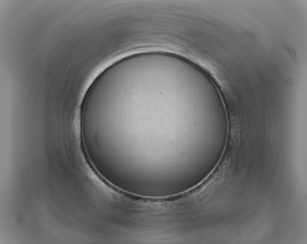 X0000113001516200909031242