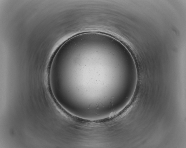 X0000113001517200909031242