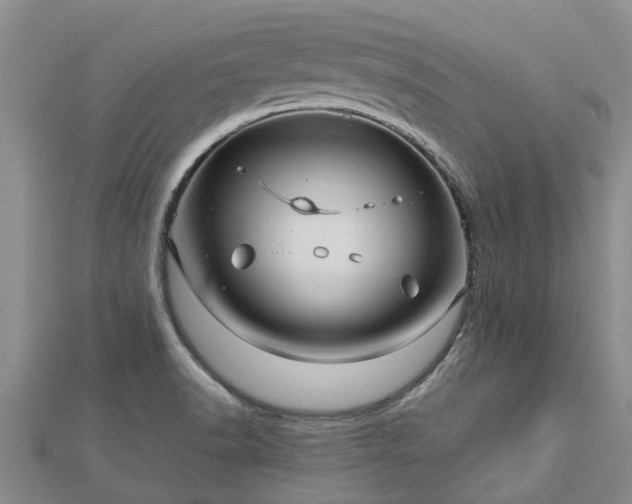 X0000113001518200909031242