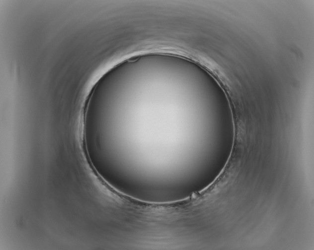 X0000113001520200909031242