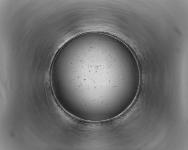 X0000113001521200909031243