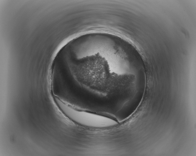 X0000113001522200909031243