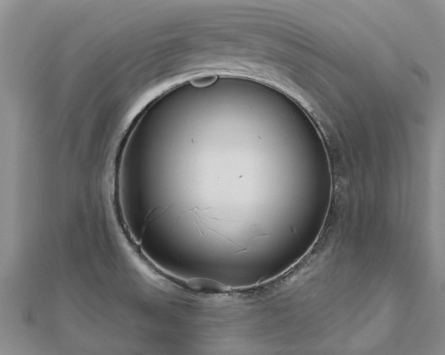 X0000113001523200909031243