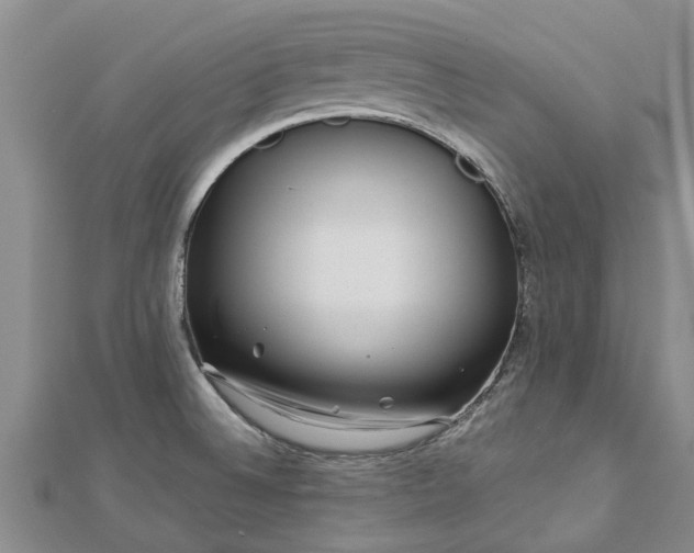 X0000113001524200909031243