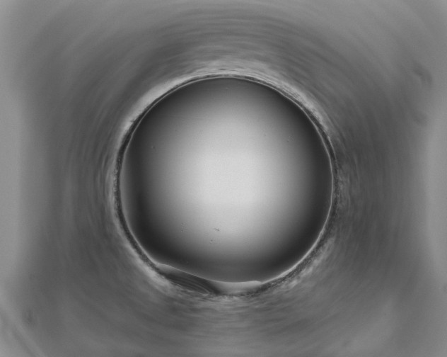 X0000113001525200909031243