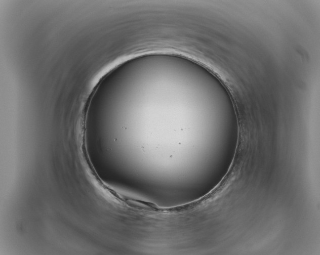 X0000113001526200909031243