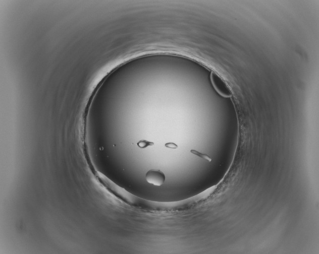 X0000113001527200909031243