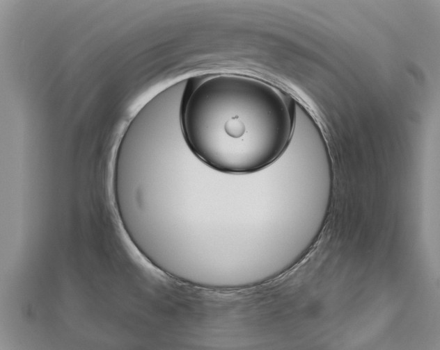 X0000113001528200909031243