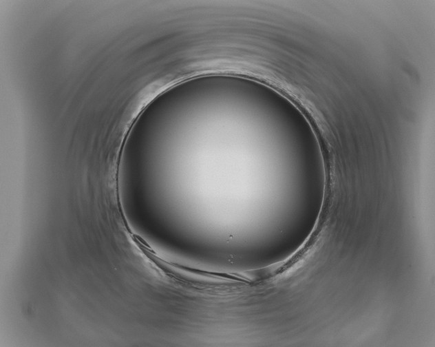 X0000113001529200909031243