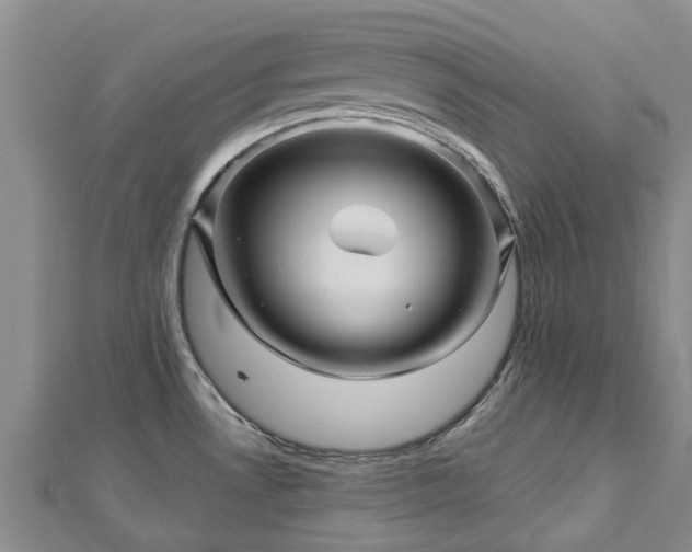 X0000113001530200909031243