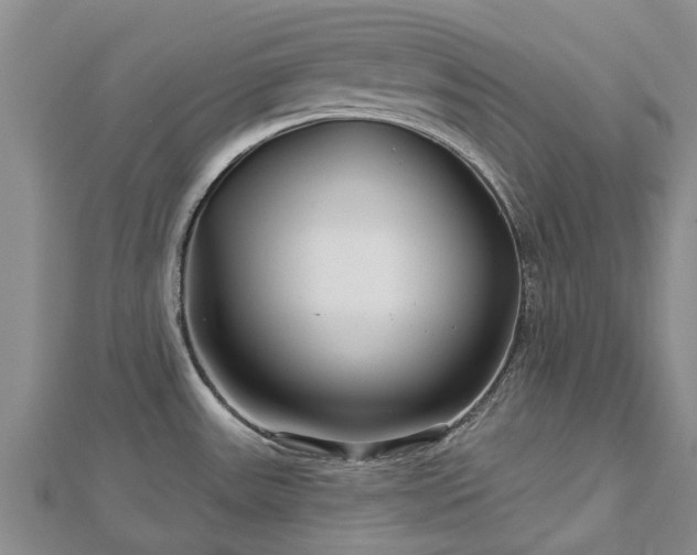 X0000113001531200909031243