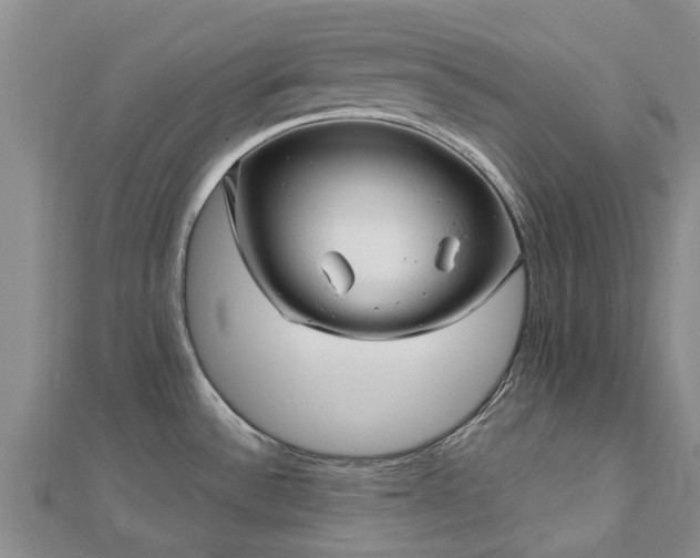 X0000113001532200909031243