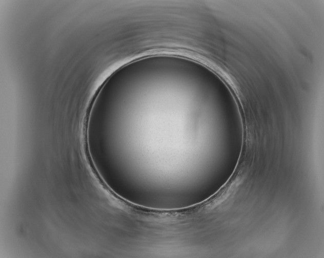 X0000113001533200909031243