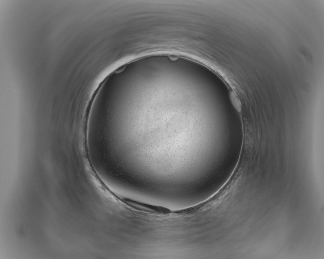 X0000113001534200909031243