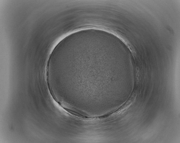 X0000113001535200909031243