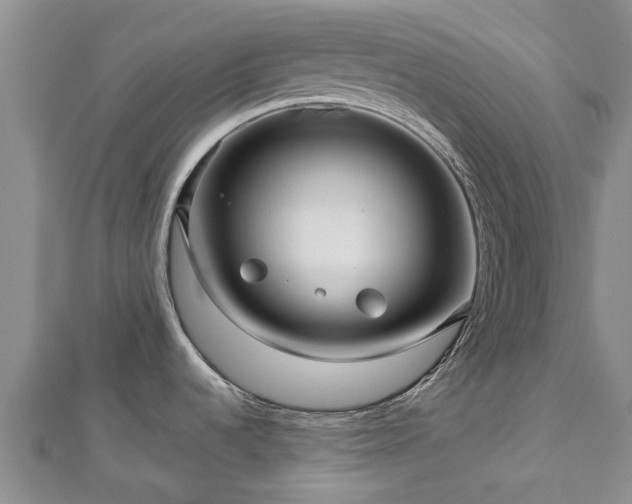 X0000113001536200909031243