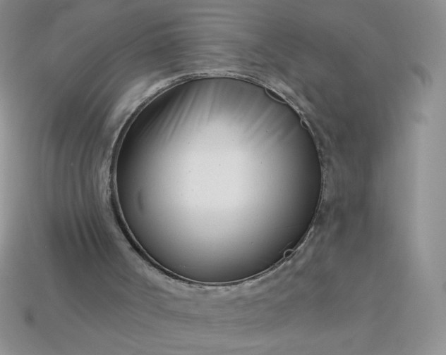 X0000113000002200909101806