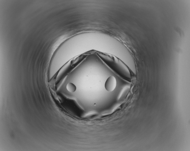 X0000113000003200909101806