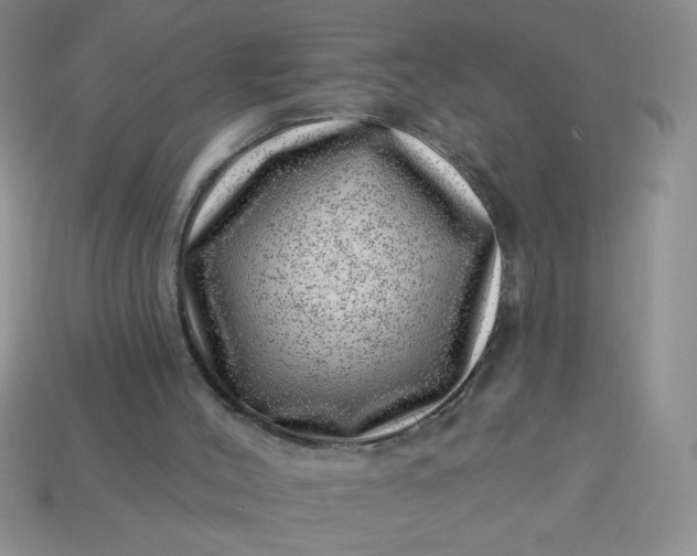 X0000113000004200909101806