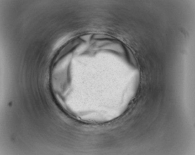 X0000113000005200909101806