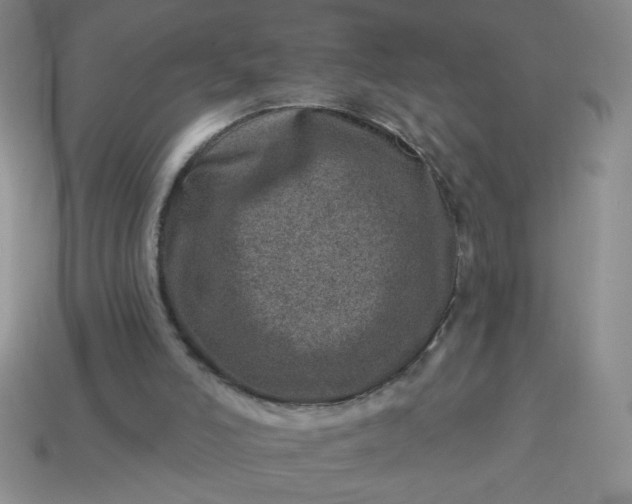 X0000113000006200909101806