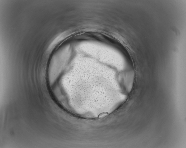 X0000113000007200909101806