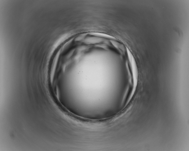 X0000113000008200909101806