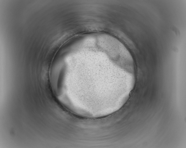 X0000113000009200909101806